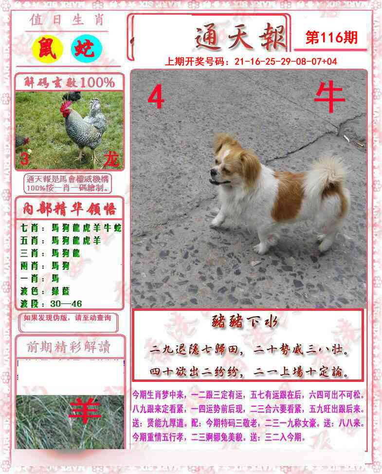 澳彩图库 2026 马经通天报