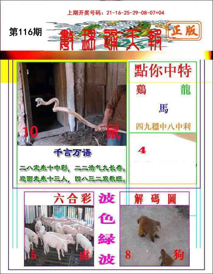 澳彩图库 2026 数理通天
